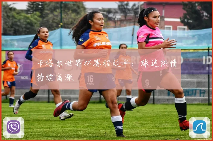 卡塔尔世界杯赛程过半，球迷热情持续高涨